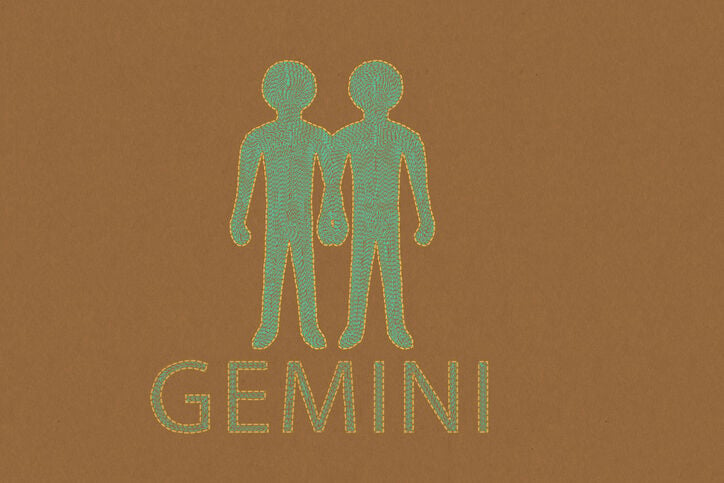 All You Need to Know About Gemini Signs