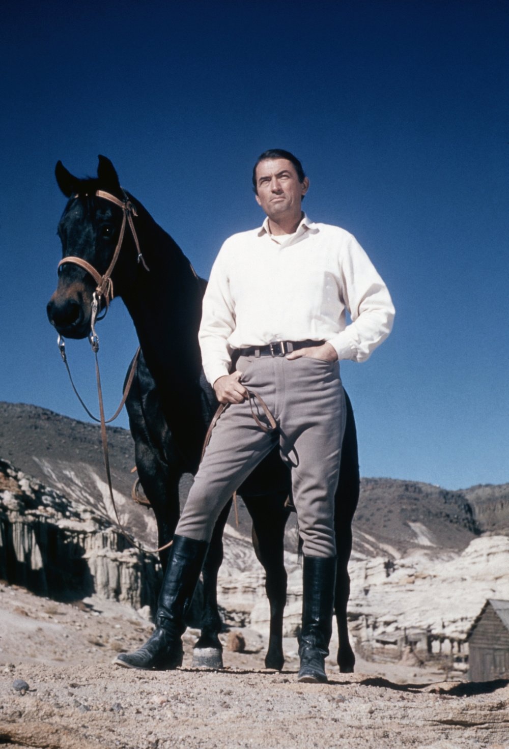 Actor Gregory Peck with Horse (Photo by �� John Springer Collection/CORBIS/Corbis via Getty Images)